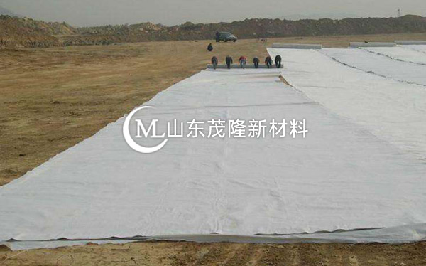 《天府機(jī)場TJ6標(biāo)》土工格柵、土工布、排水板施工