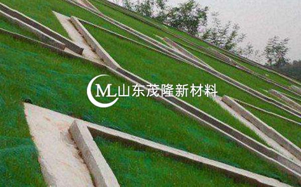 《都勻至安順公路項目》土工格柵、三維植被網(wǎng)施工