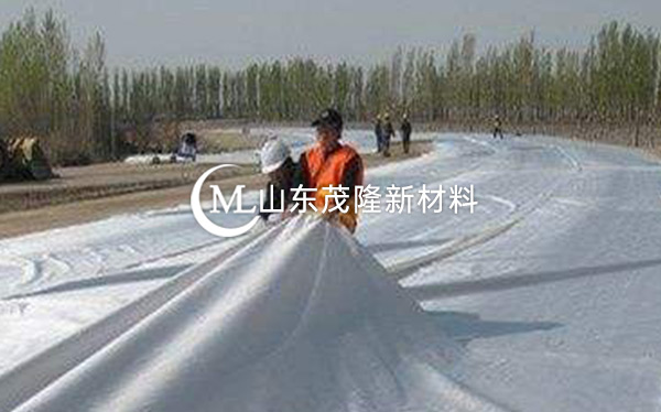 《河北省邯鄲園博園》土工布、排水板施工