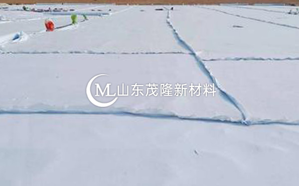 《臺輝高速》土工布、土工格柵施工