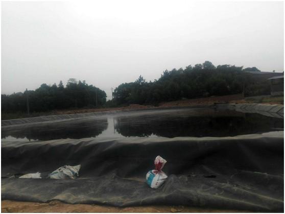 魚(yú)塘土工膜怎么樣施工合理呢