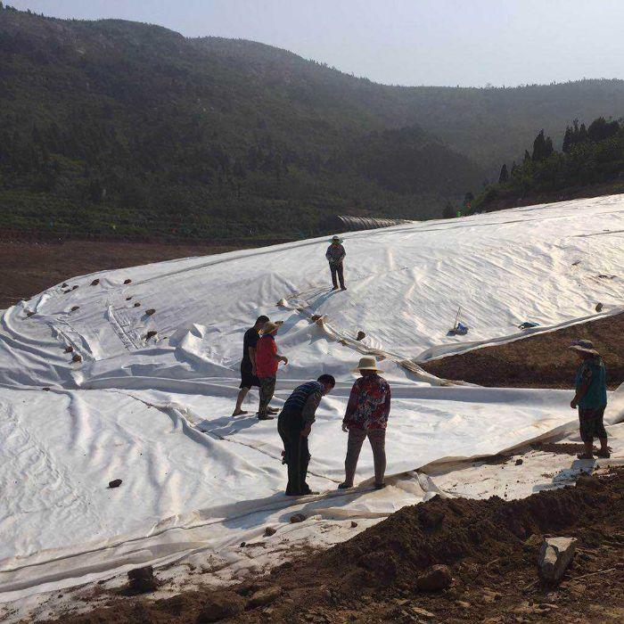防水土工膜可以防止地下水上升而對(duì)路的