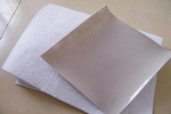 工程中應(yīng)用復(fù)合土工膜的優(yōu)勢以及使用體驗(yàn)分享  第2張